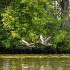 Unterwegs auf der Unterhavel