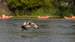 Unterwegs auf der Unterhavel