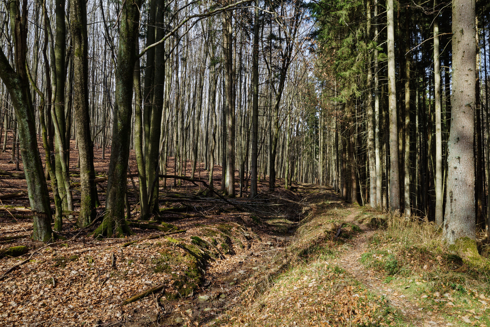 Unterwegs auf einsamen Pfaden (2)