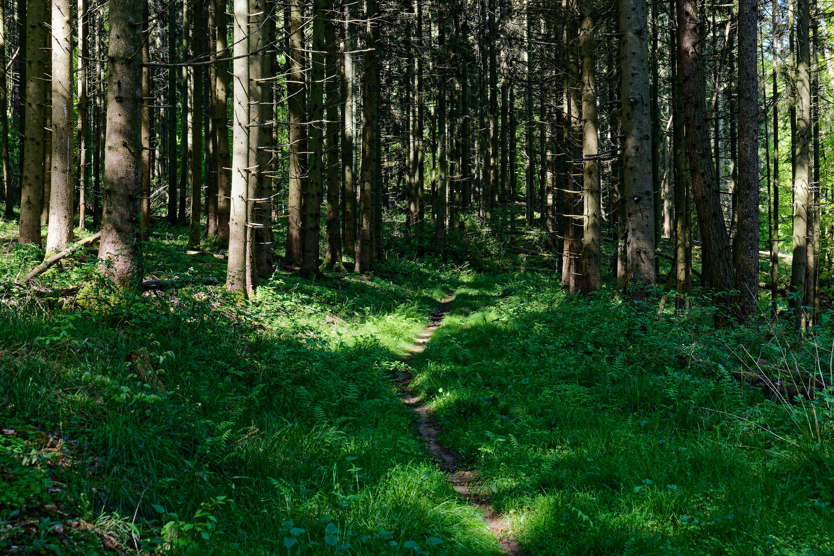 Unterwegs auf einsamen Pfaden