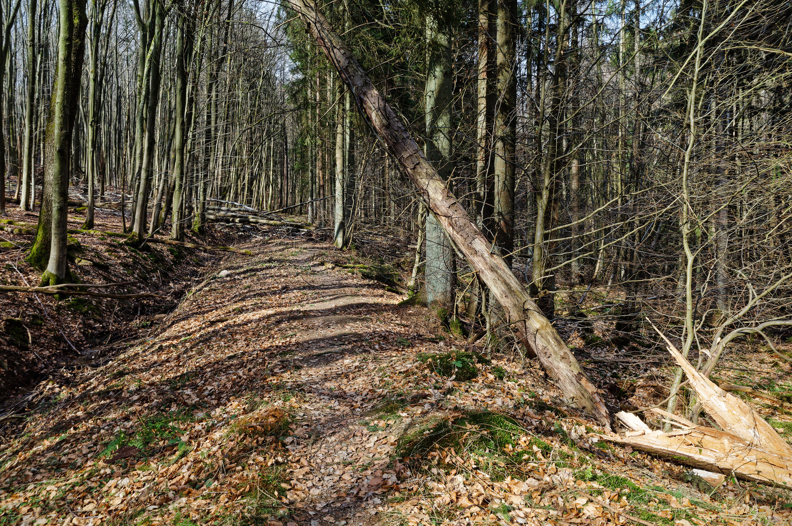 Unterwegs auf einsamen Pfaden