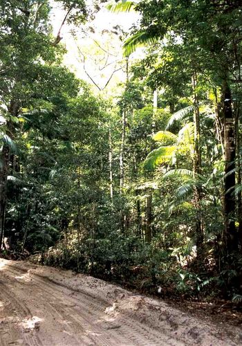 Unterwegs auf Fraser Island’s „Straßen“