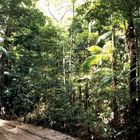 Unterwegs auf Fraser Island’s „Straßen“