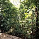 Unterwegs auf Fraser Island’s „Straßen“