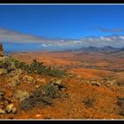 Unterwegs auf Fuerteventura