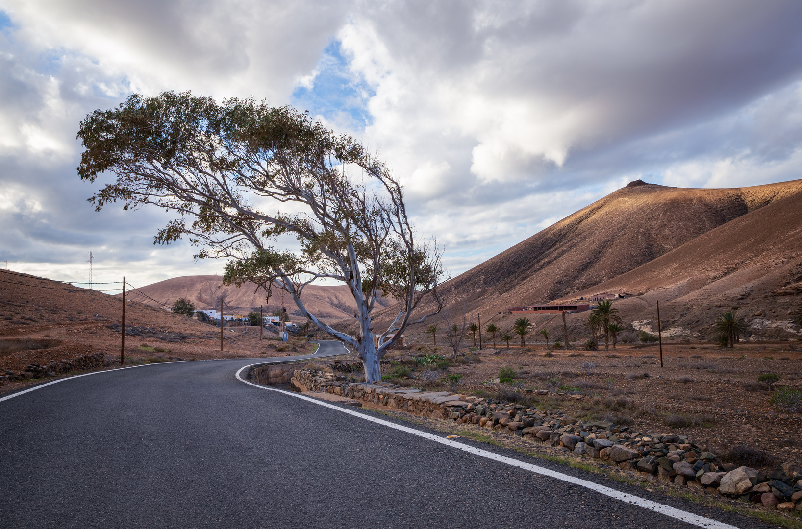 Unterwegs auf Fuerteventura.