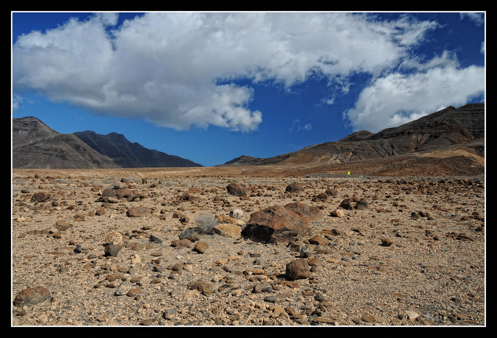 Unterwegs auf Fuerteventura III