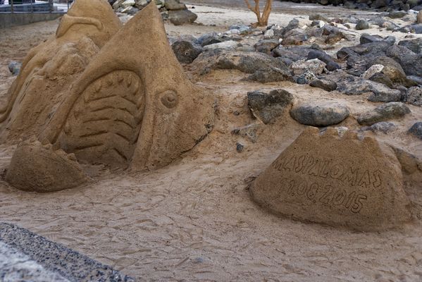 Unterwegs auf Gran Canaria