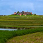 Unterwegs auf Hallig Hooge