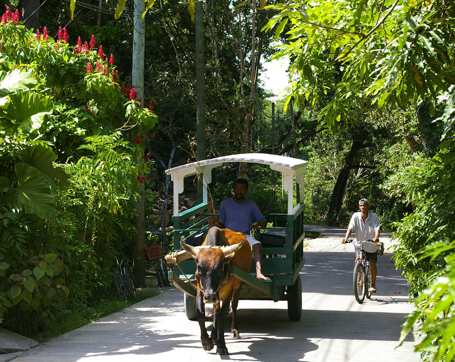 Unterwegs auf La Digue