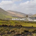 Unterwegs auf Lanzarote