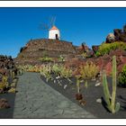 unterwegs auf Lanzarote.....