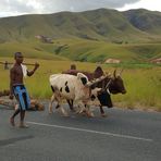 Unterwegs auf Madagaskar