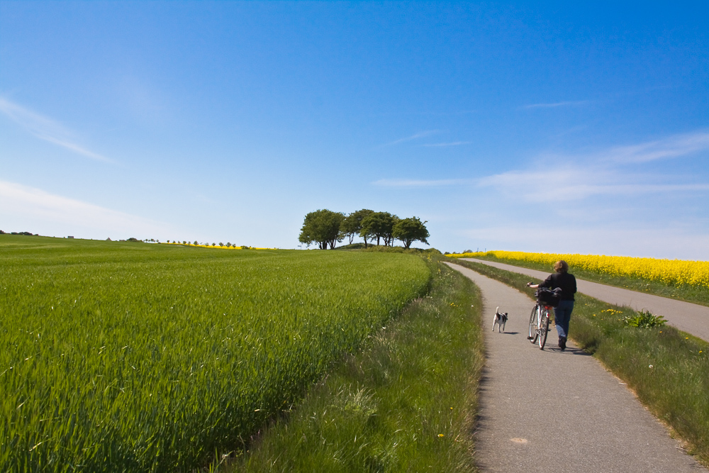 Unterwegs auf Rügen