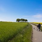 Unterwegs auf Rügen