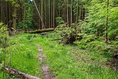 Unterwegs auf unwegsamen Pfaden