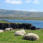 Unterwegs auf Valentia Island