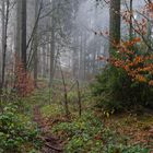 Unterwegs auf verschlungenen Pfaden