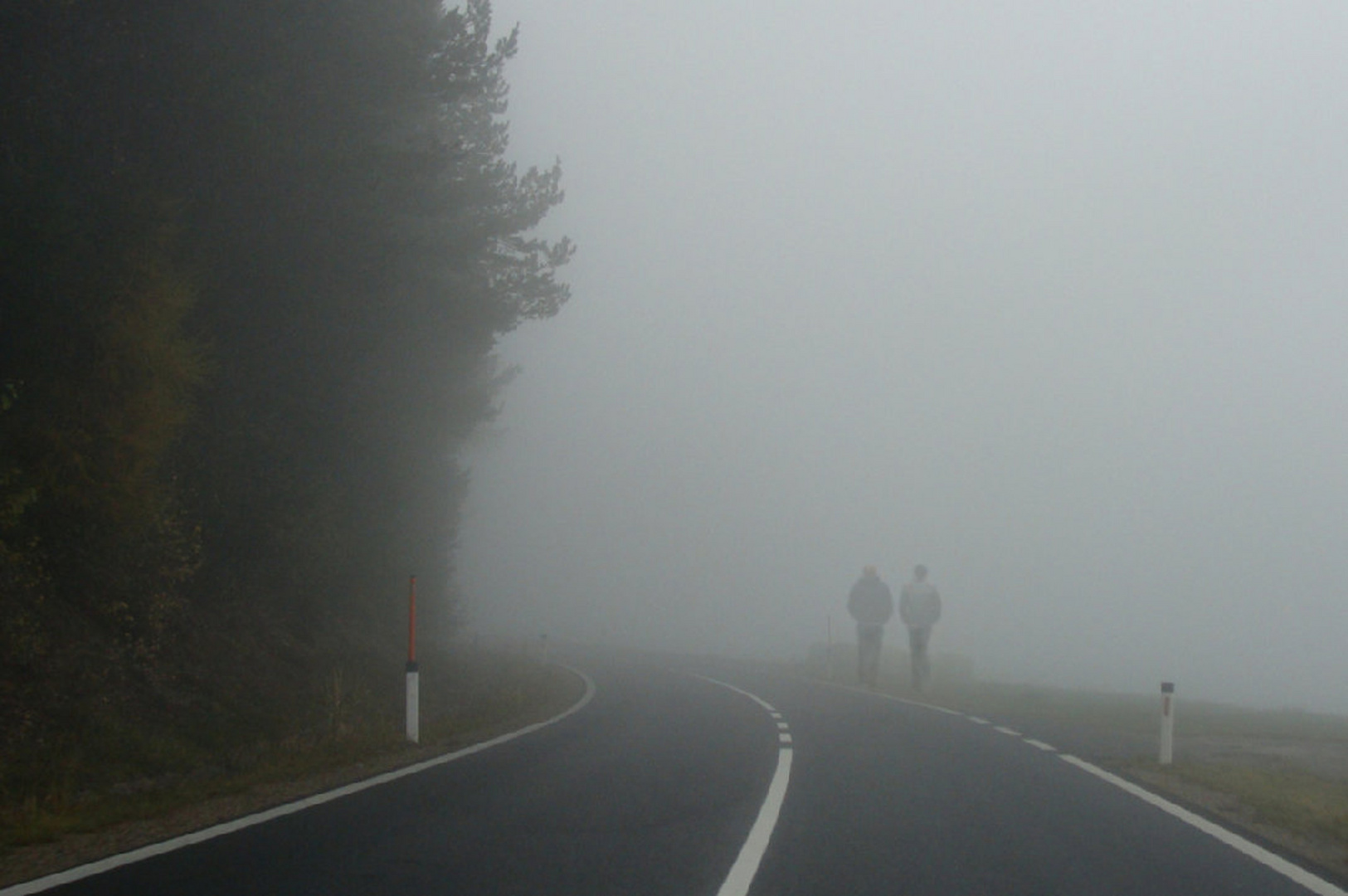 Unterwegs bei Nebel