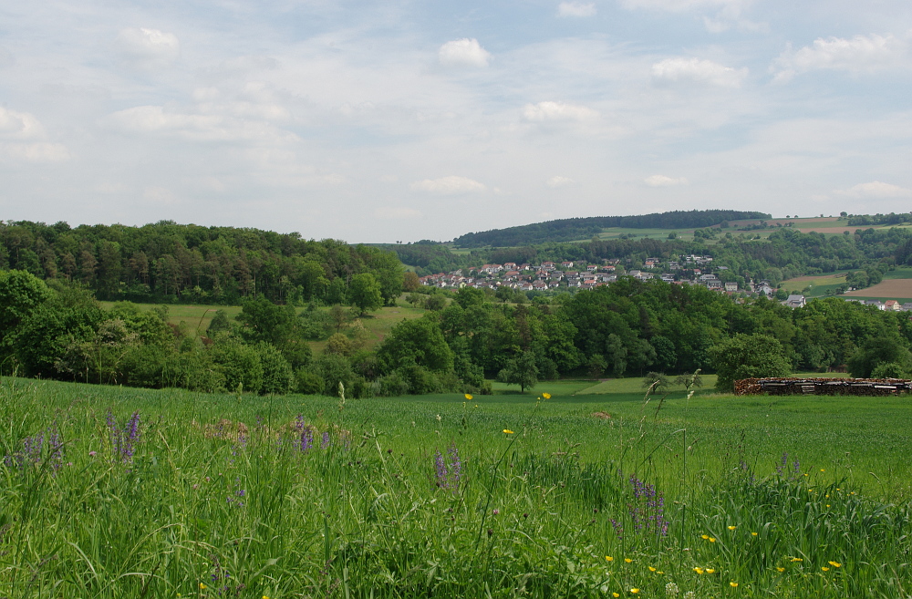 Unterwegs bei Neckarburken