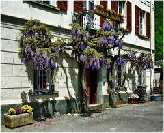 Unterwegs bei St.Moritz 1 