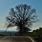 unterwegs dem Frühling entgegen 