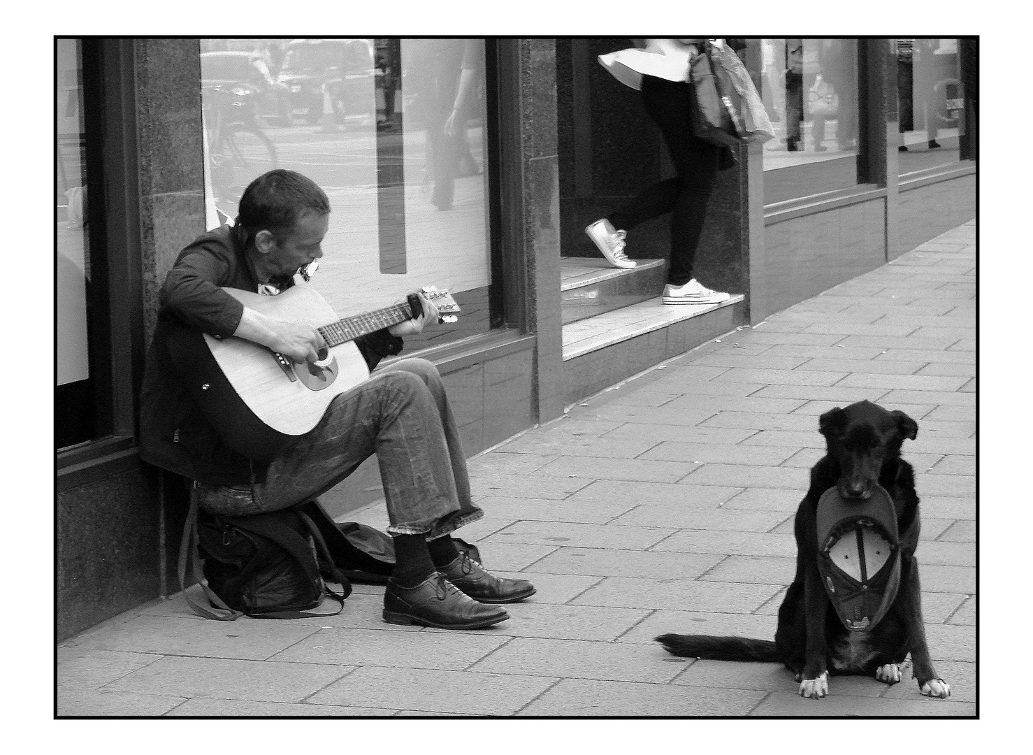 Unterwegs - Der Hund mit der Mütze