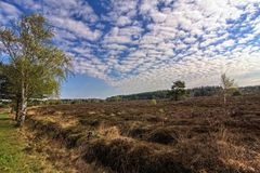 Unterwegs der Küstenheide 