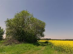 Unterwegs durch die Felder