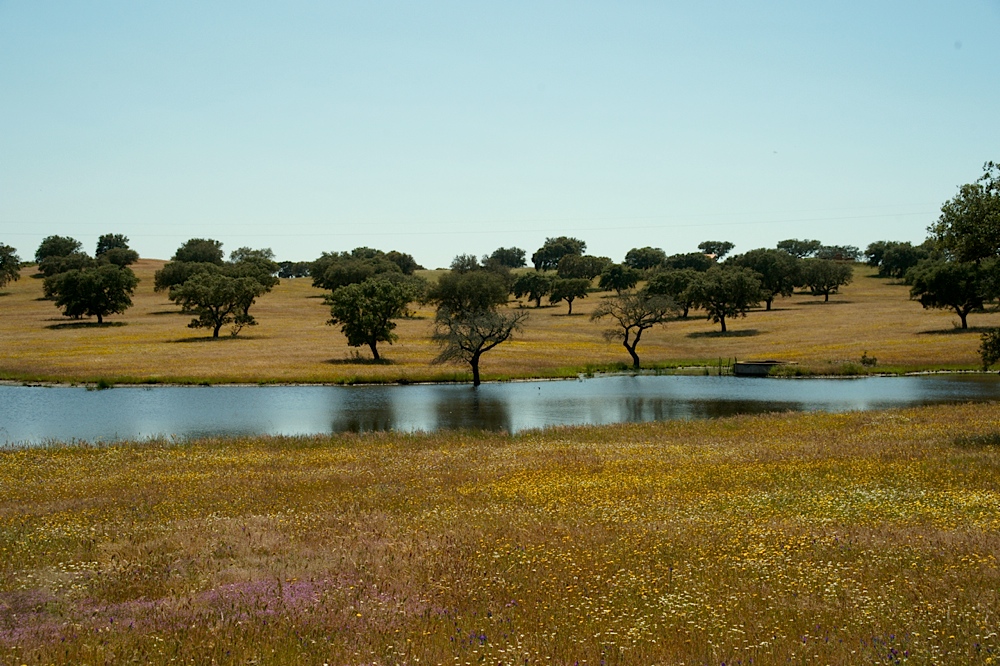 Unterwegs im Alentejo I