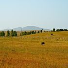 Unterwegs im Alentejo II