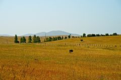 Unterwegs im Alentejo II