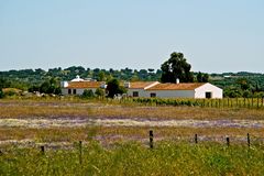 Unterwegs im Alentejo IV