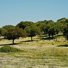 Unterwegs im Alentejo VII