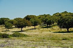 Unterwegs im Alentejo VII