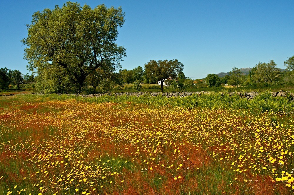 Unterwegs im Alentejo XI