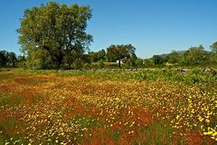 Unterwegs im Alentejo XI