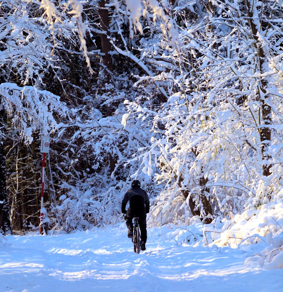 Unterwegs im Allschwiler Wald