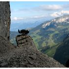 Unterwegs im Alpstein II