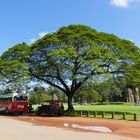 ...unterwegs im archäologischen Park von Angkor...