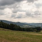 Unterwegs im Bayerischen Wald