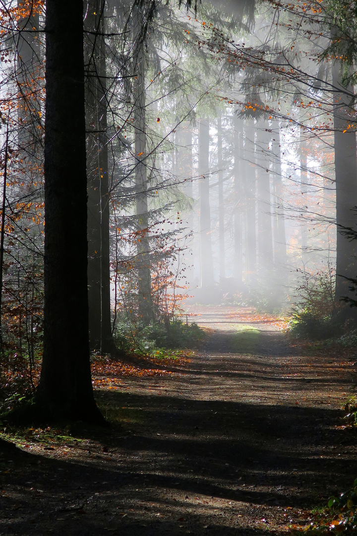 unterwegs im Bayerischen Wald...