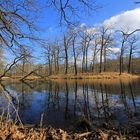 Unterwegs im Beckerbruch-Park (2)