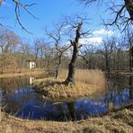 Unterwegs im Beckerbruch-Park