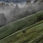 unterwegs im Berchtesgadener Land