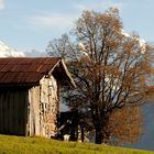 Unterwegs im Berner Oberland (1)