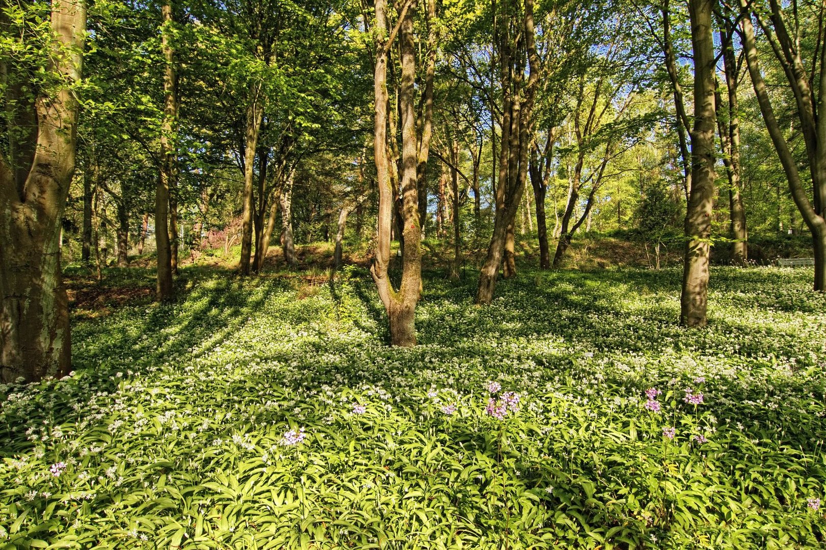 Unterwegs im Botanischen Garten 