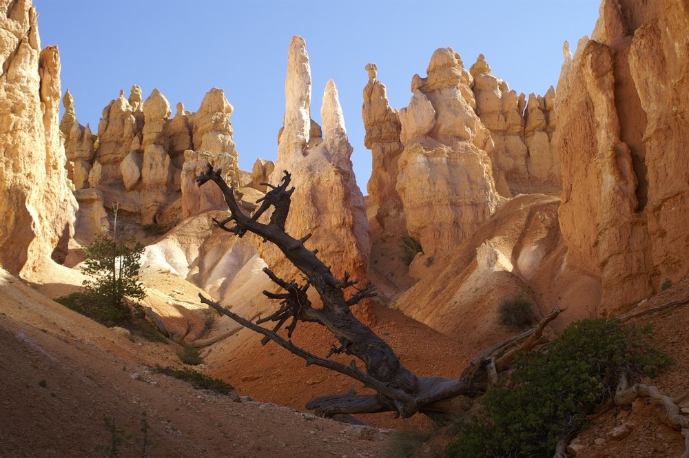 Unterwegs im Bryce Canyon (1)