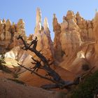 Unterwegs im Bryce Canyon (1)