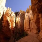 Unterwegs im Bryce Canyon (3)